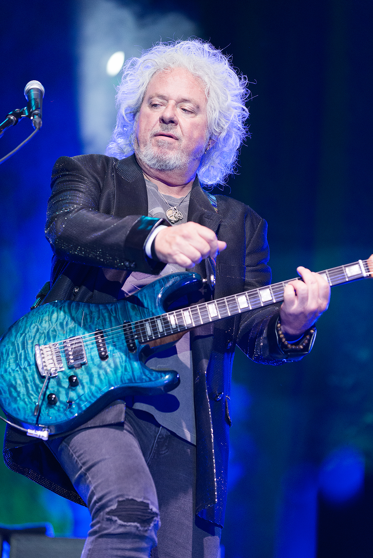 Toto - Dogz of Oz Tour 2024