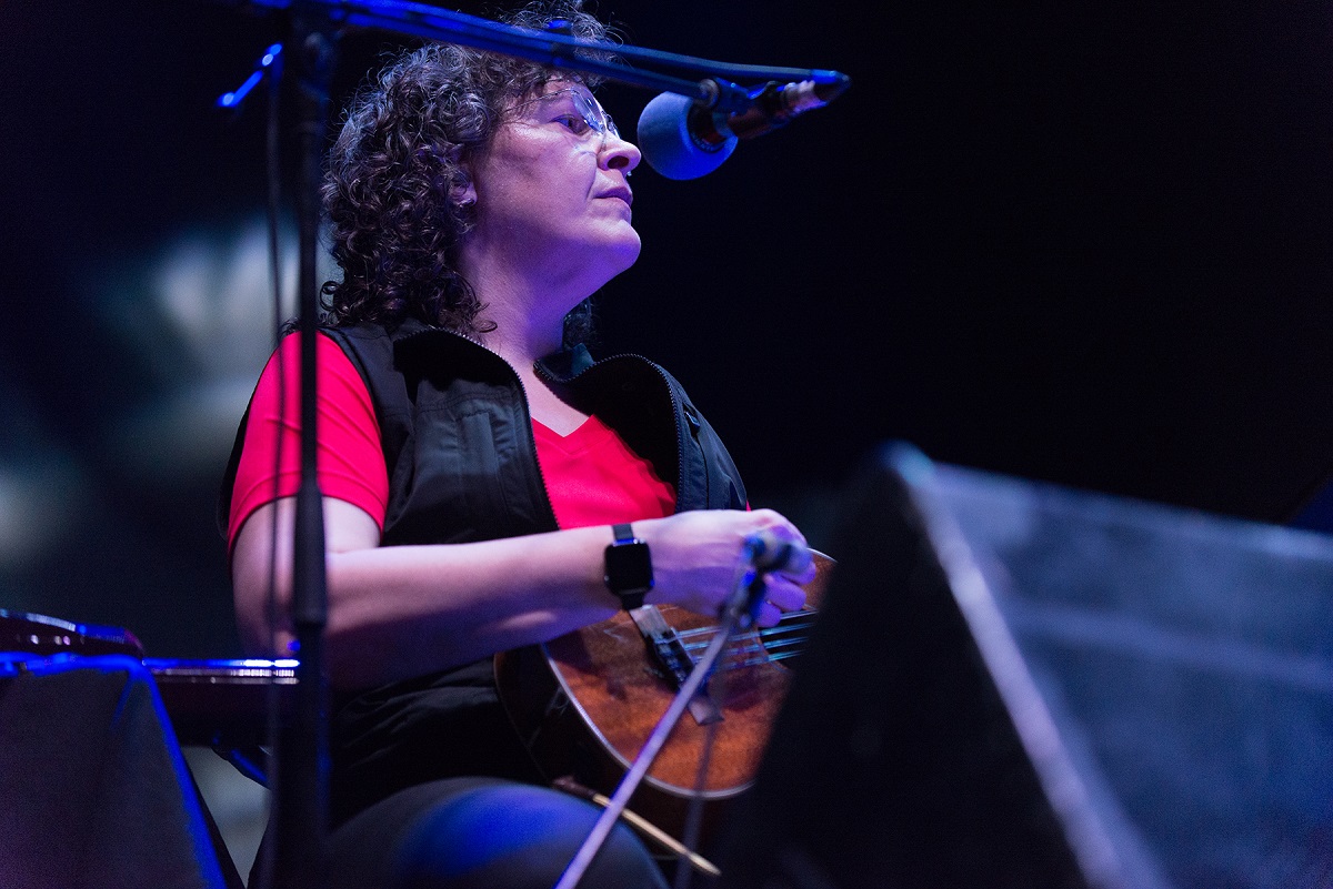 The Magnetic Fields - Fauna Primavera