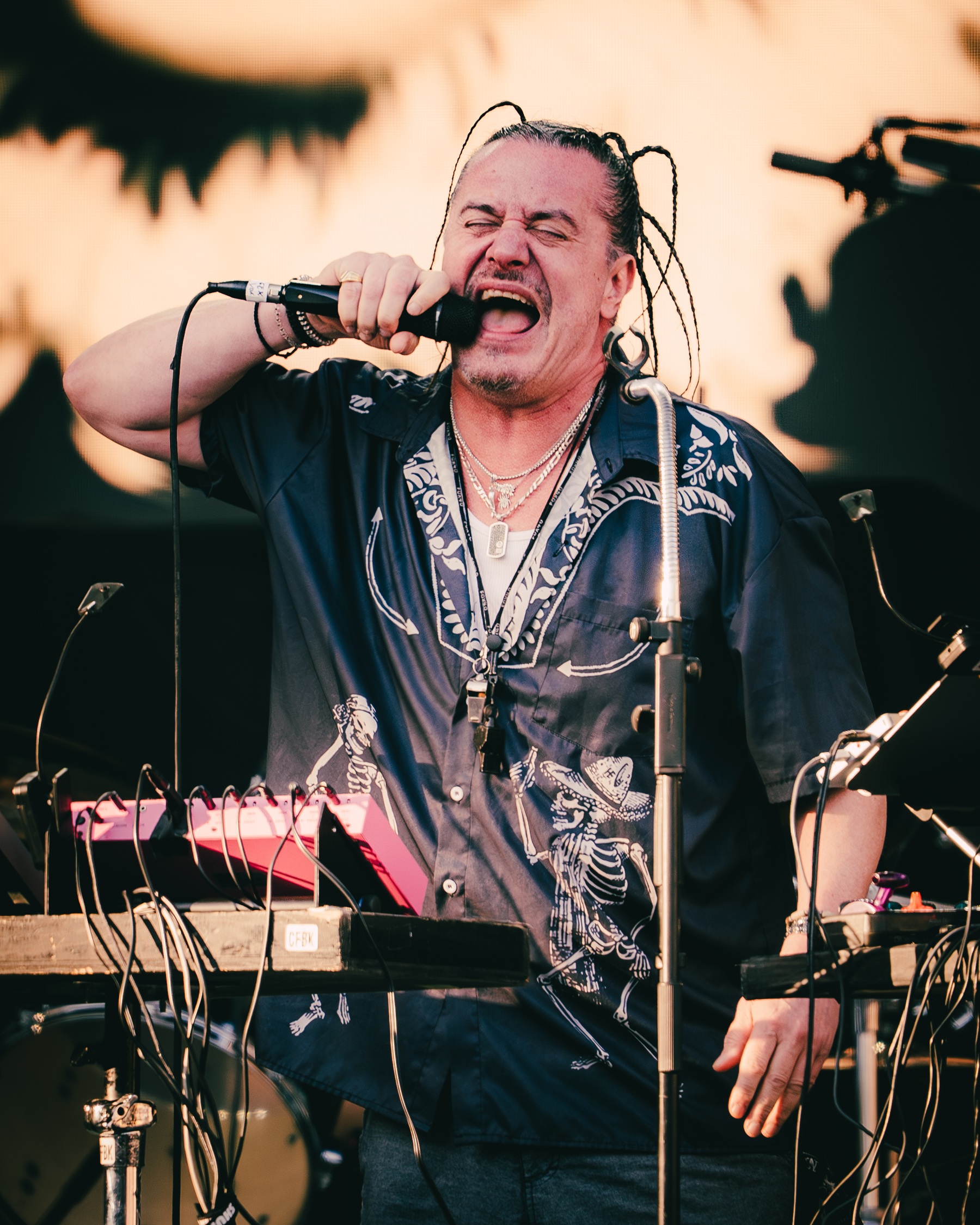 Mr.Bungle