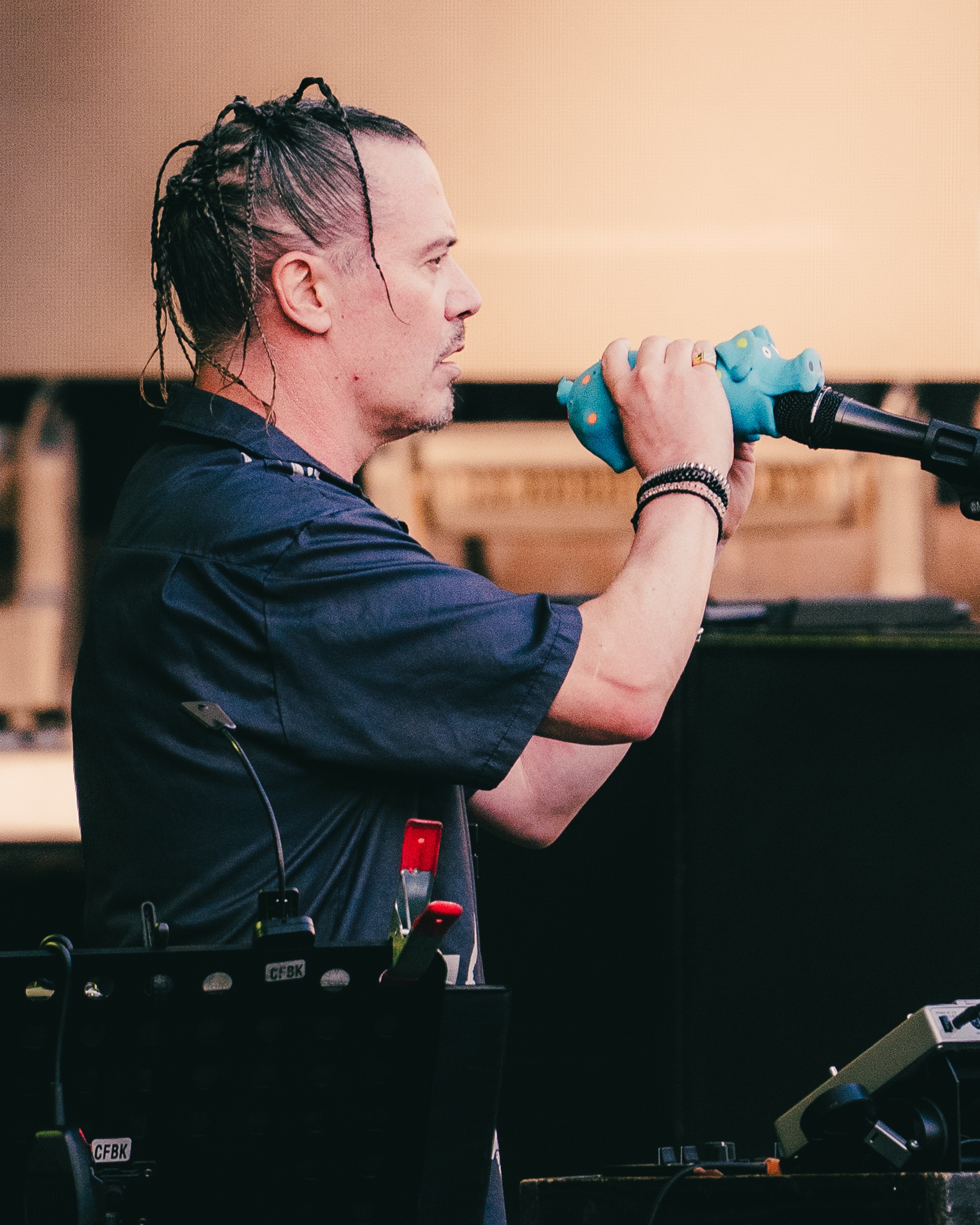 Mr.Bungle