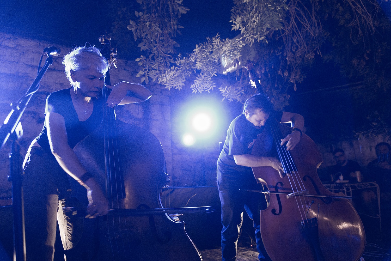 Trevor Dunn & Amanda Irarrázabal: un diálogo fecundo y necesario