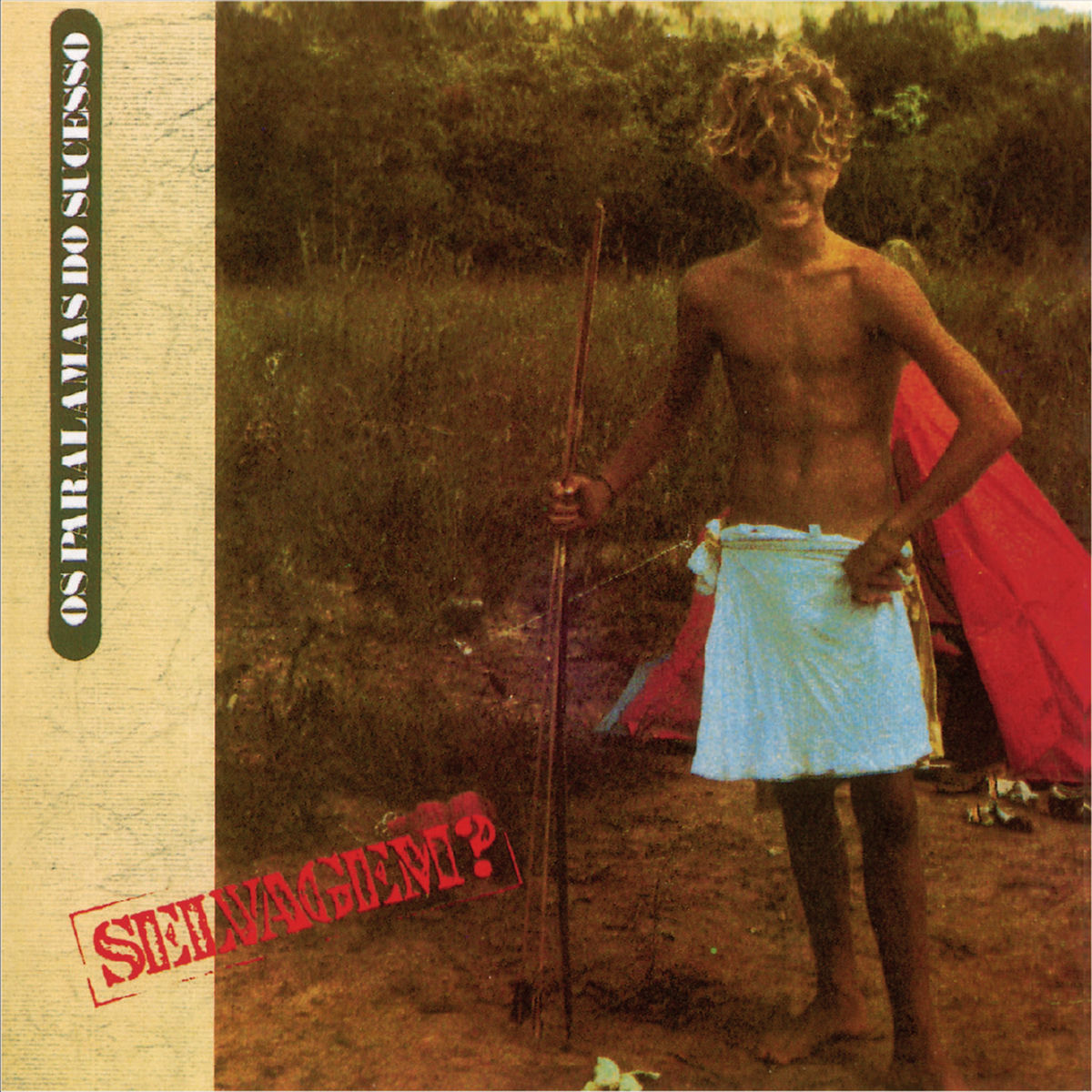 Os Paralamas do Sucesso