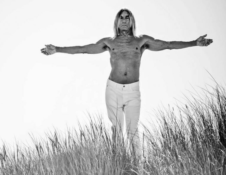 Vigente: Iggy Pop anuncia un nuevo trabajo de estudio
