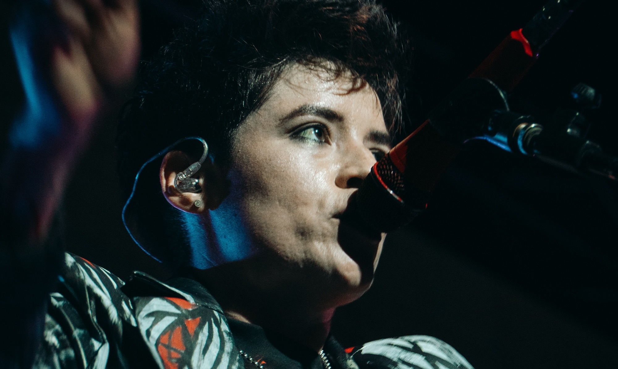 Frank's White Canvas: Total fidelidad