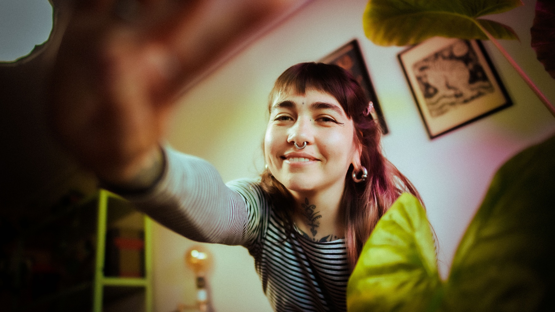 Trova, punk e indie: Amapola programa concierto en Matucana 100