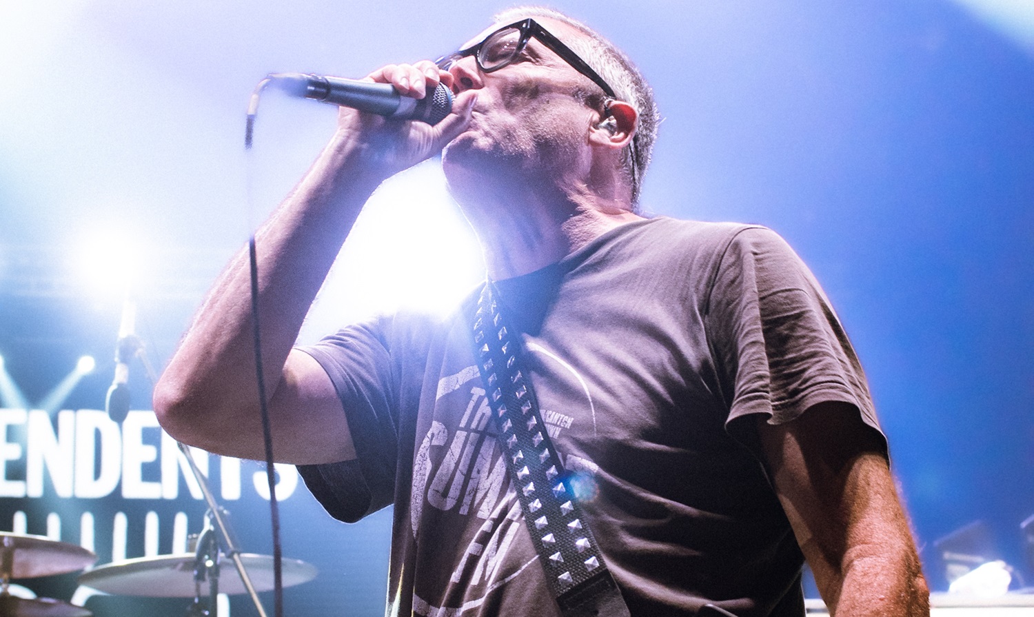 Descendents: ¡Gracias por estar aquí!