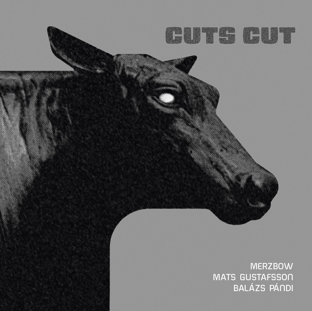 Merzbow, Mats Gustafsson & Bal�zs Pandi