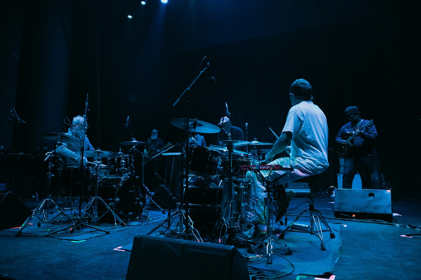 Tortoise: el idioma universal