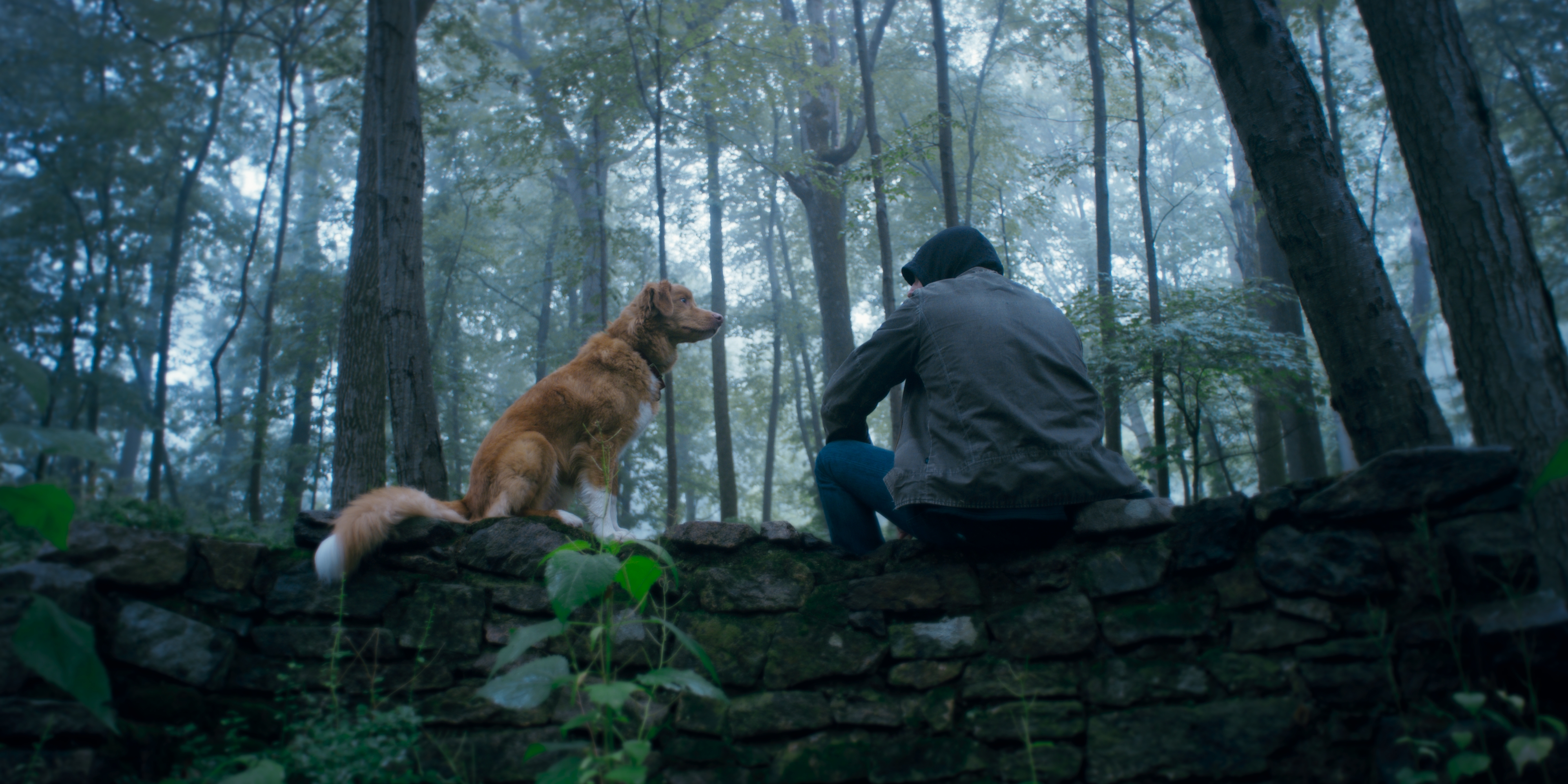 Good Boy: Entre la oscuridad y la lealtad