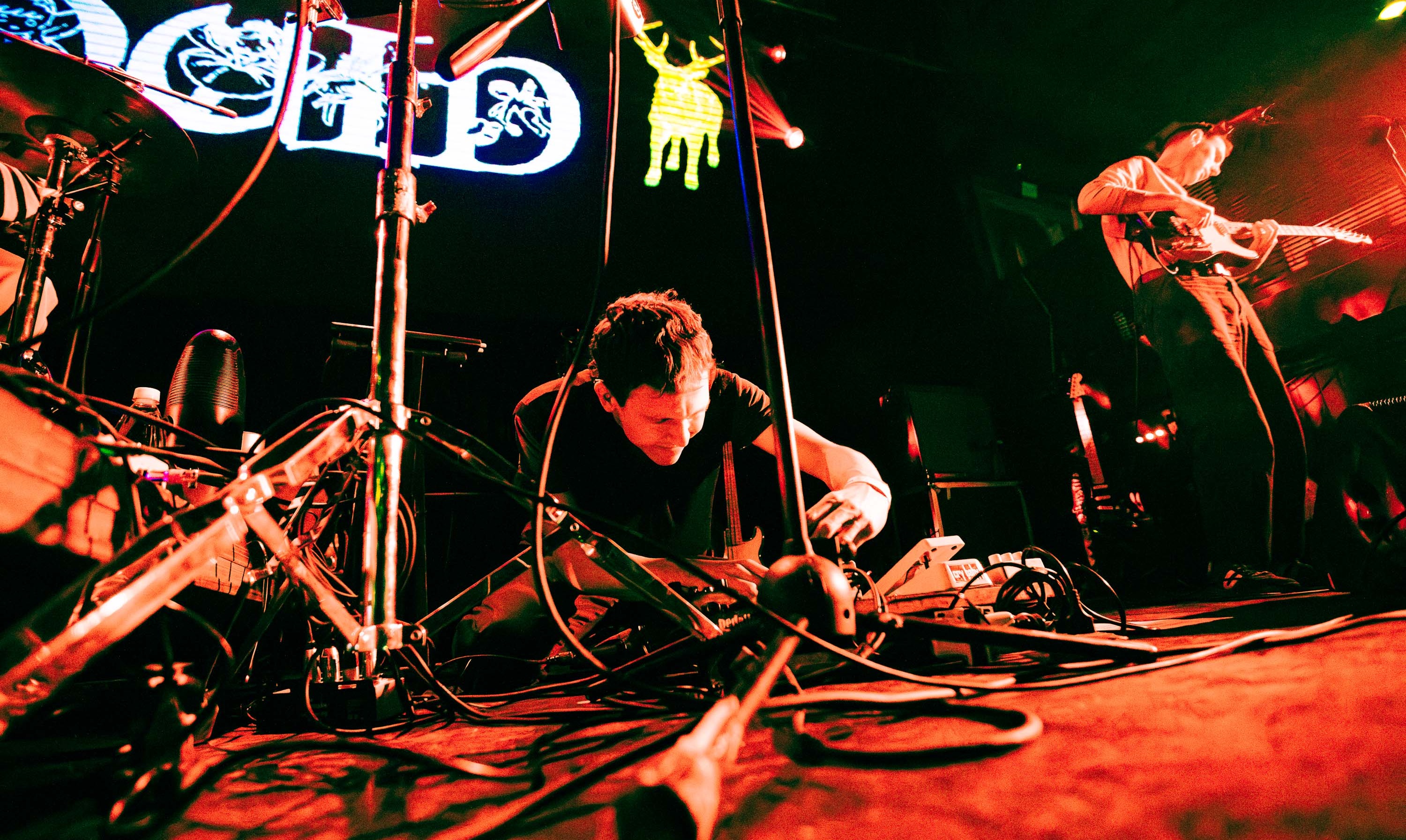 Squid: tentáculos y simpleza