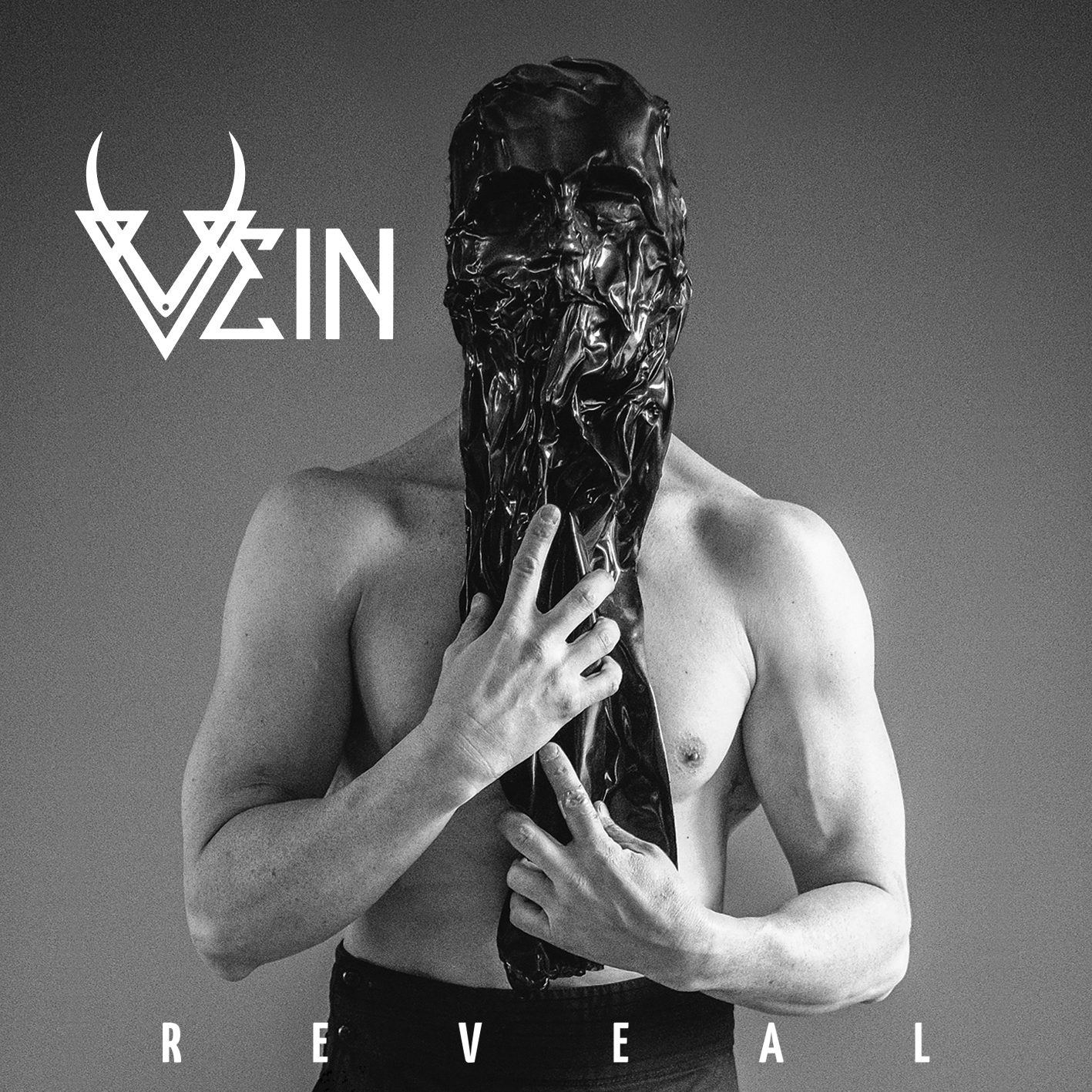 Lo Nuevo de VEIN "Reveal"