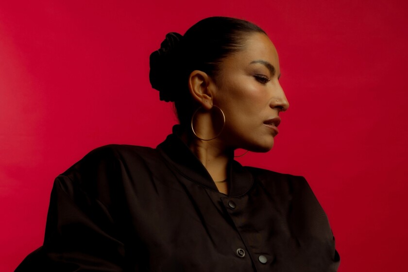 Desde Ana Tijoux a Electrodomésticos: Revelan primeros artistas del festival MUDA