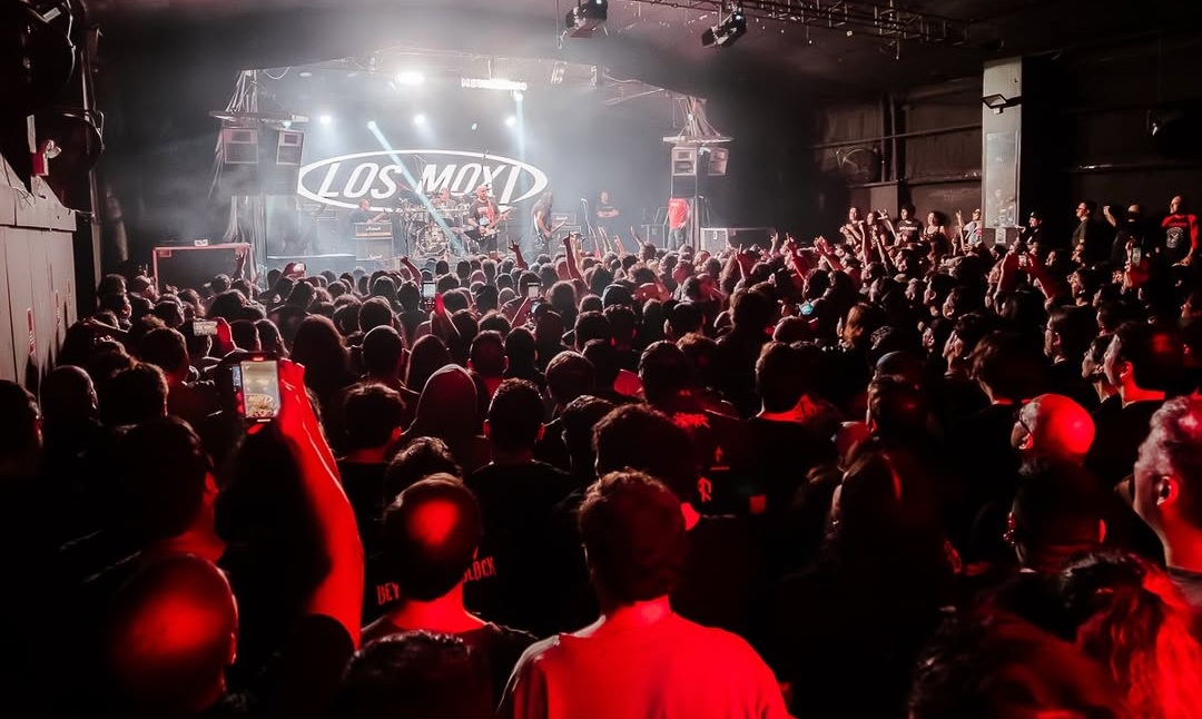 La mansa fiesta de Los Mox!