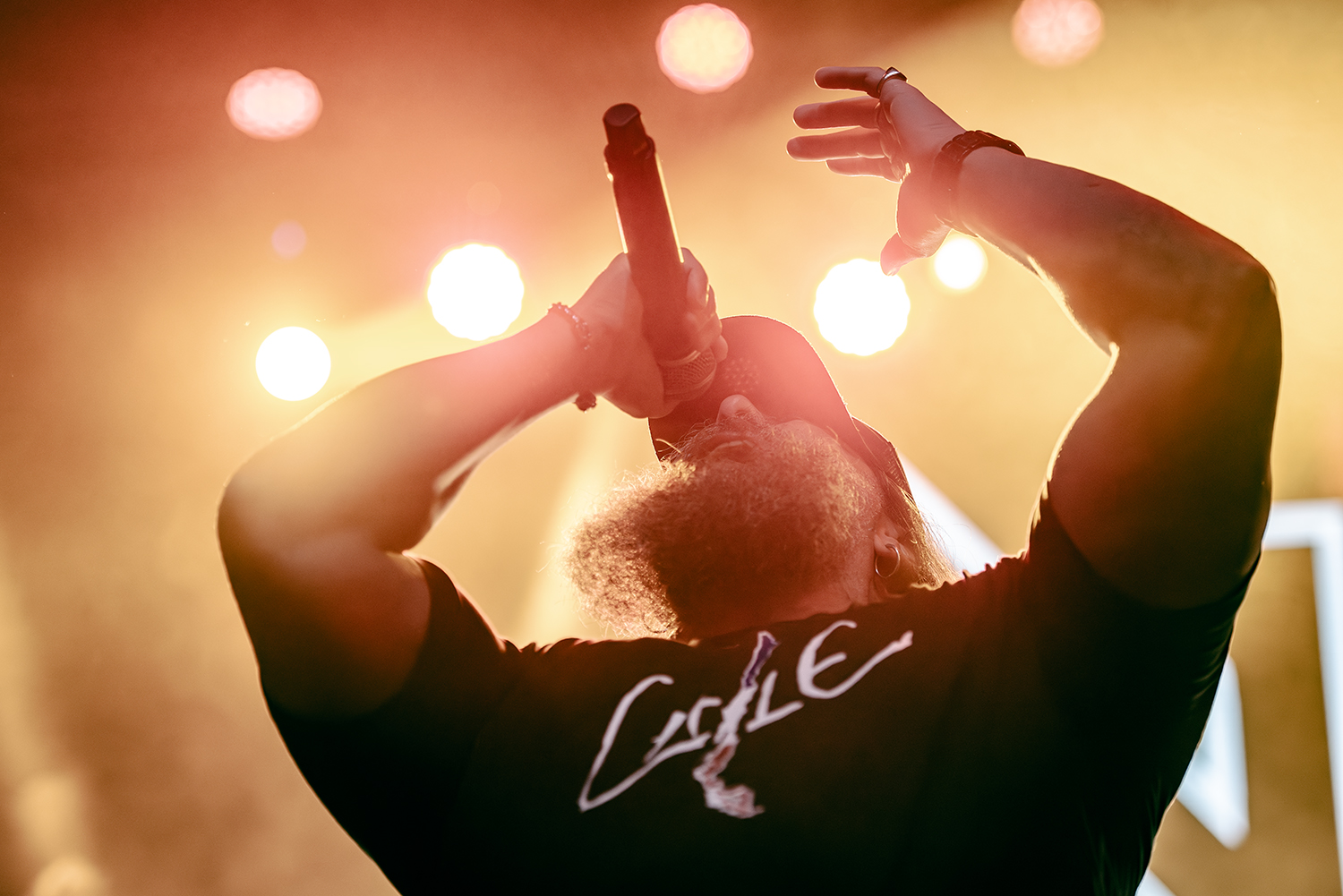 Nevermore: Vida después de la muerte