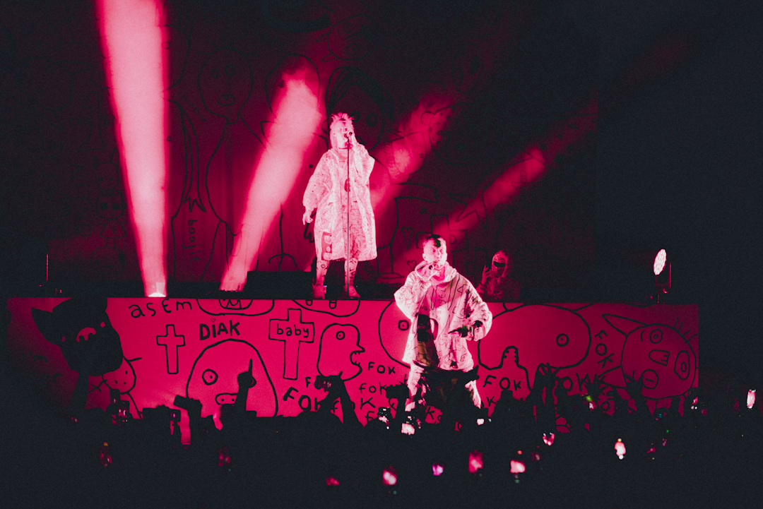 Die Antwoord: beats, irreverencia y energía