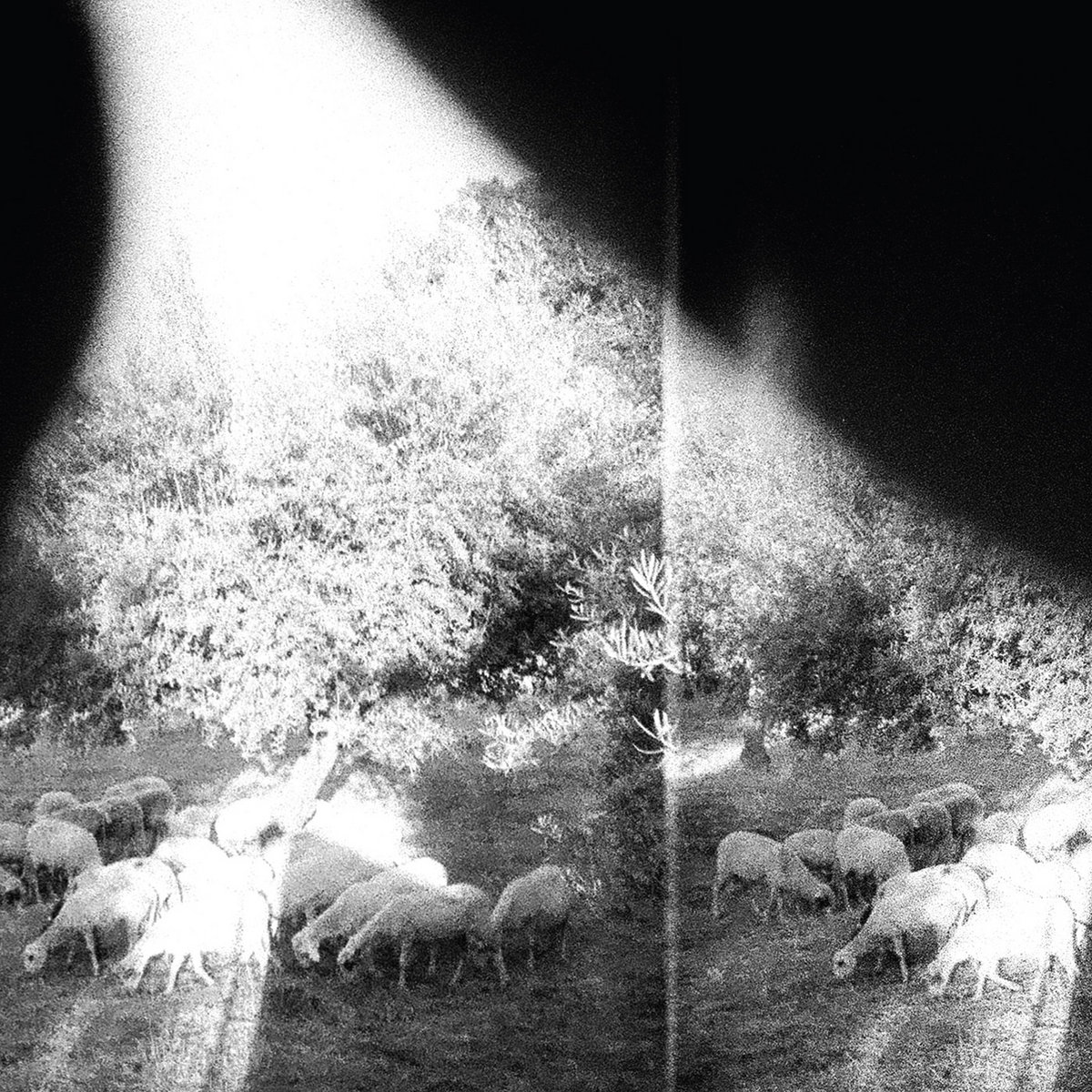 Godspeed You! Black Emperor 