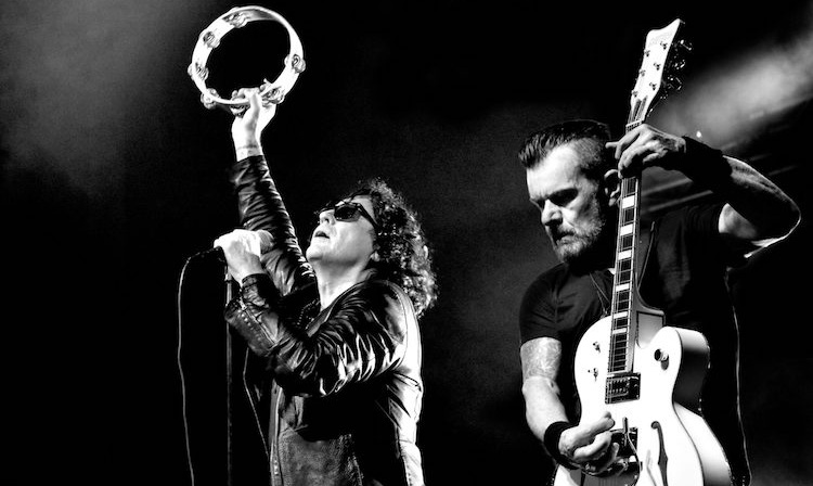 The Cult: Animales salvajes