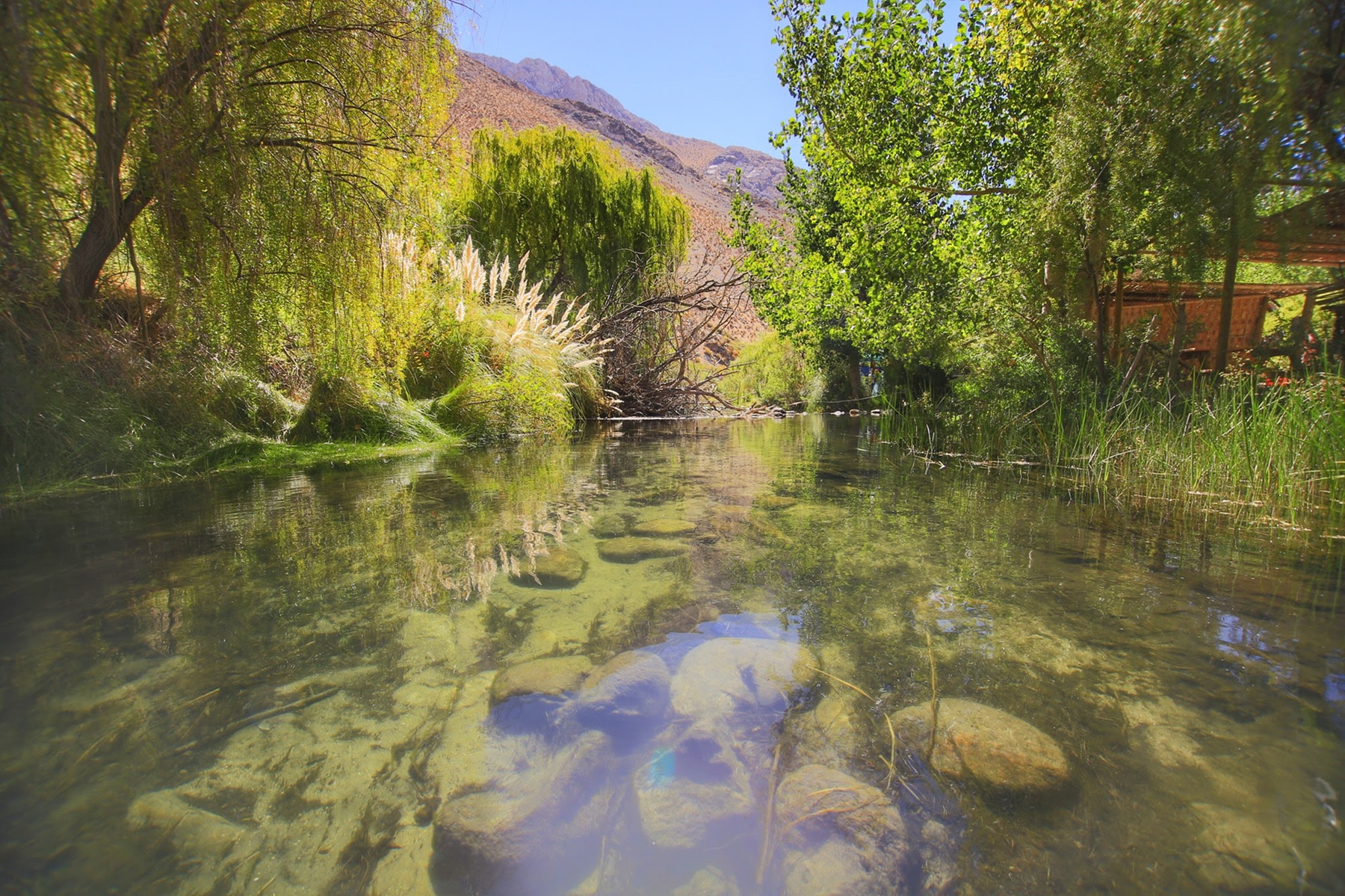 Eco-Fest: Valle del Elqui albergará nuevo evento musical