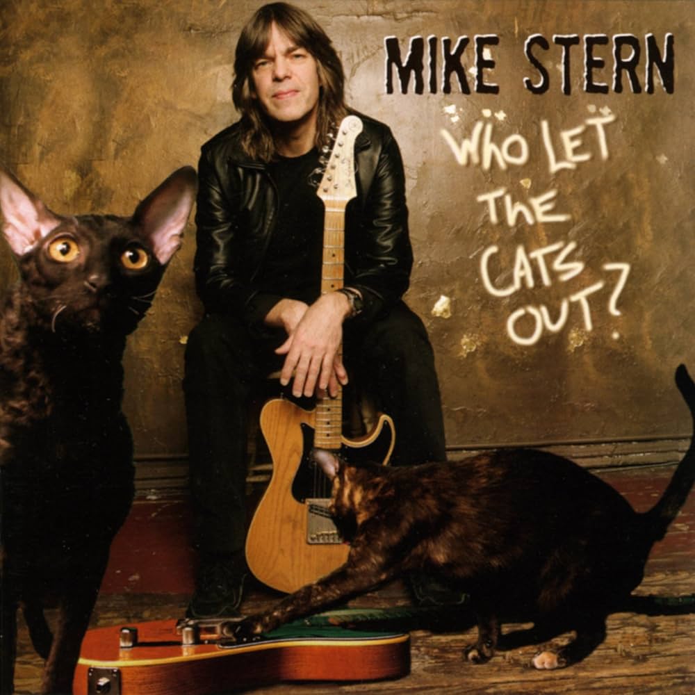 Mike Stern