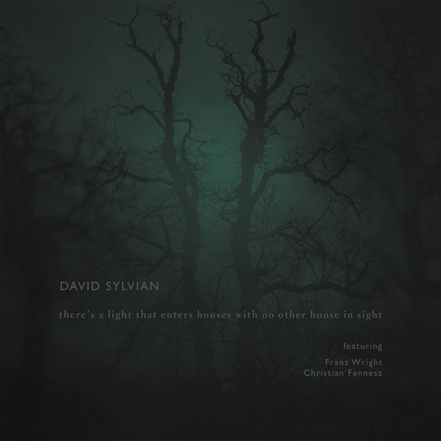 David Sylvian