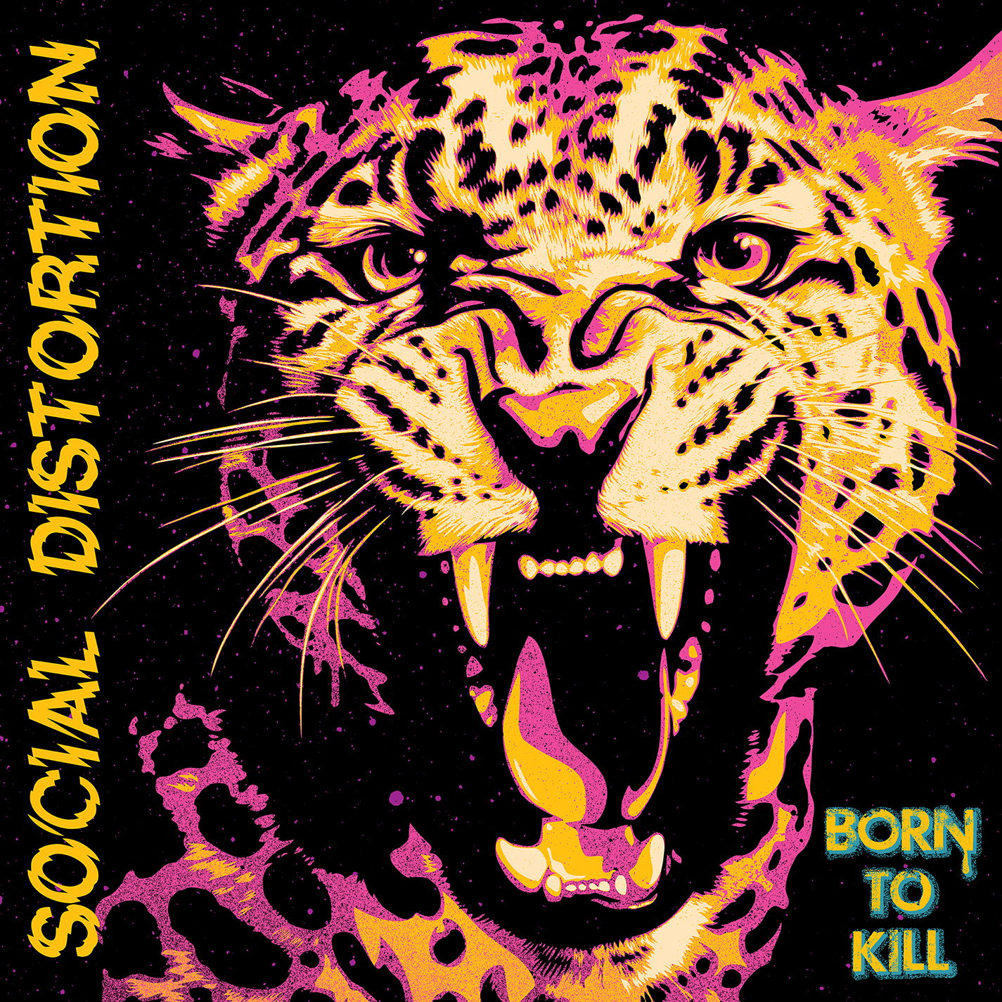 Social Distortion