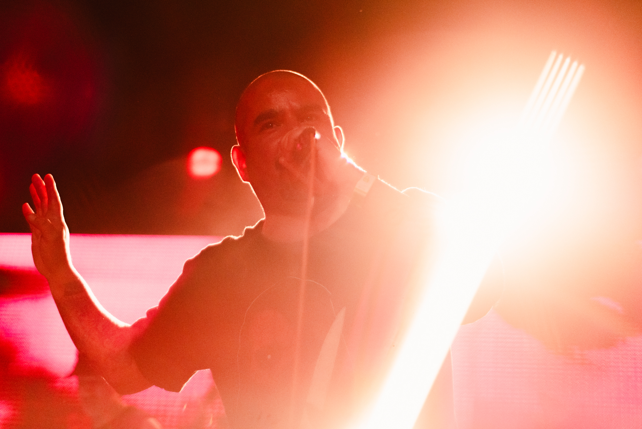 Tenemos Explosivos & Cómo Asesinar a Felipes