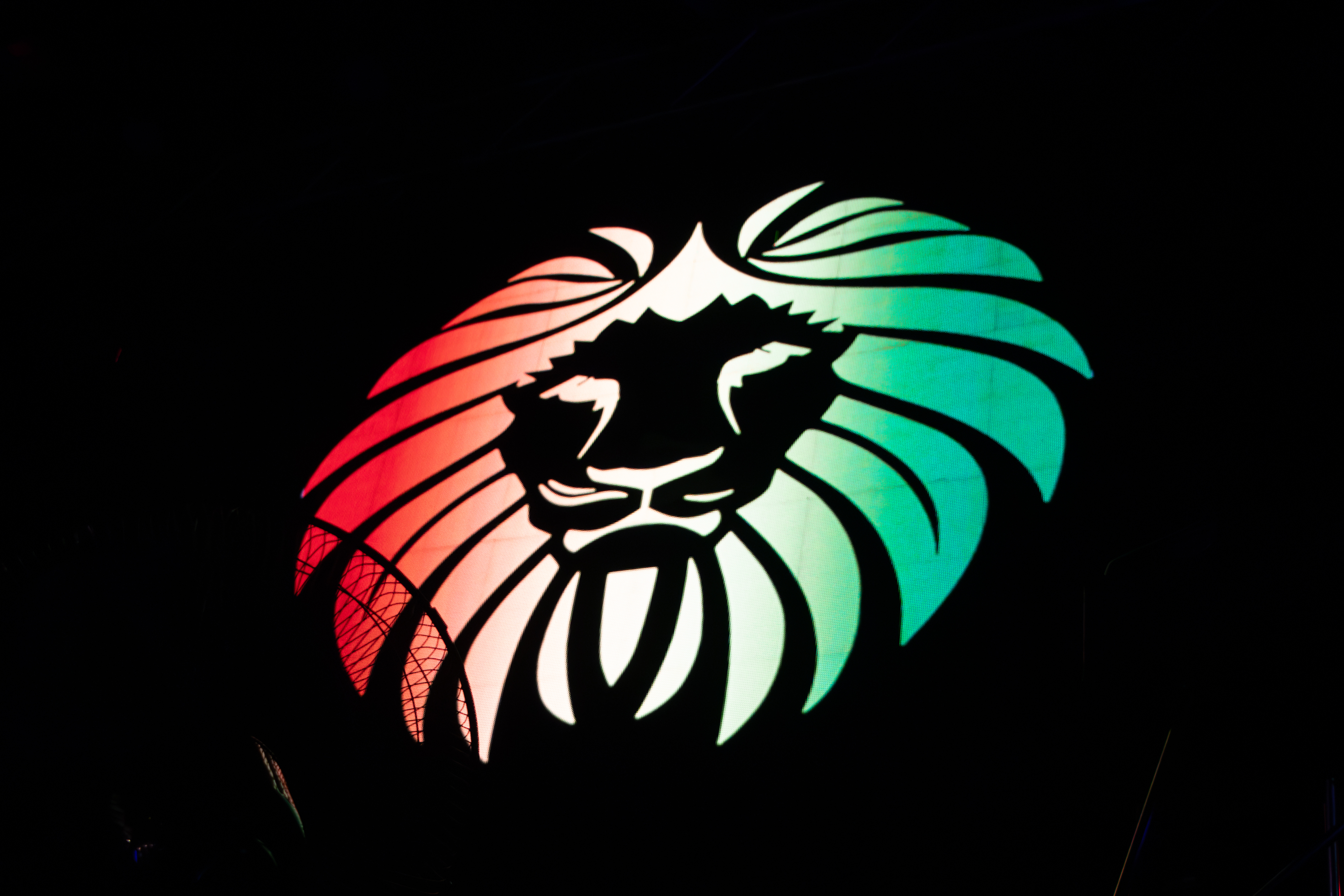 Ezra Collective + Newen Afrobeat