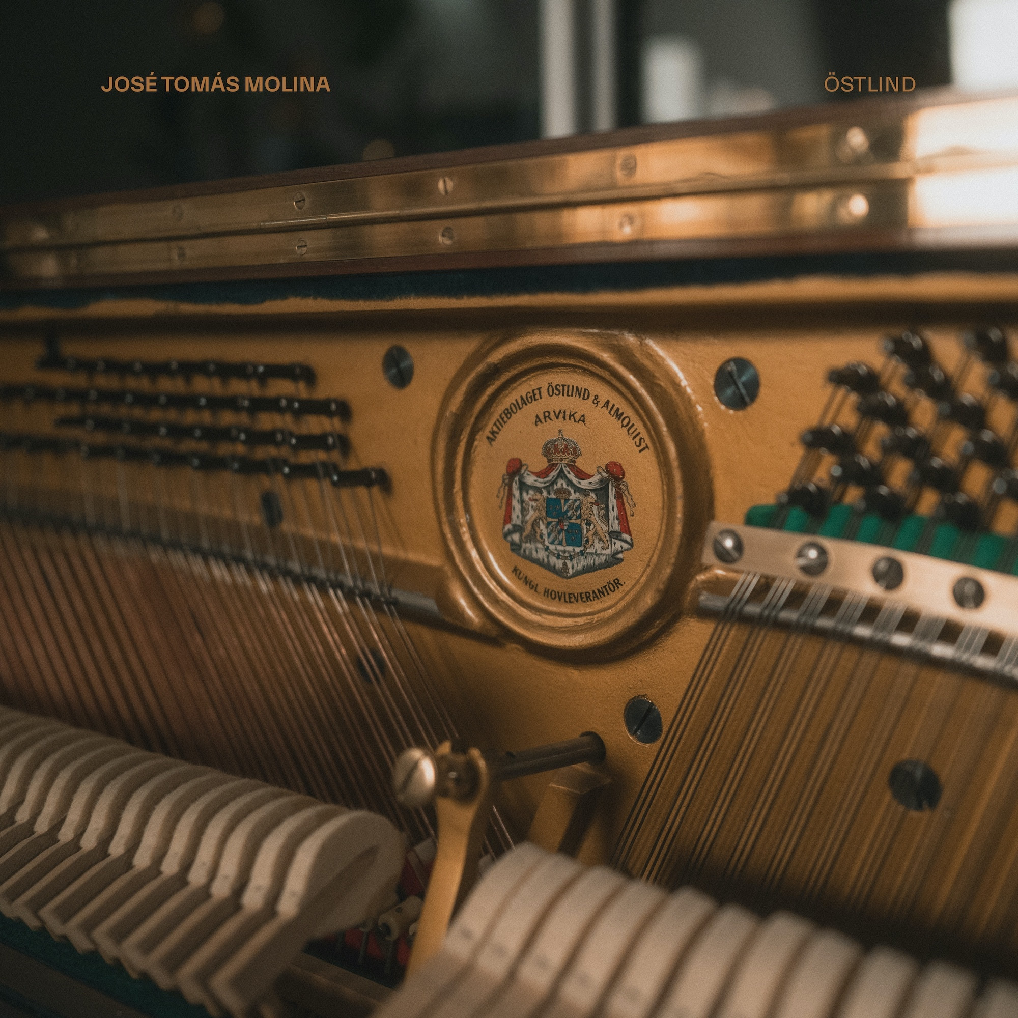 José Tomás Molina presenta su nuevo EP 