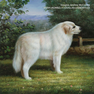 Bajista de Tortoise Douglas McCombs debuta como solista