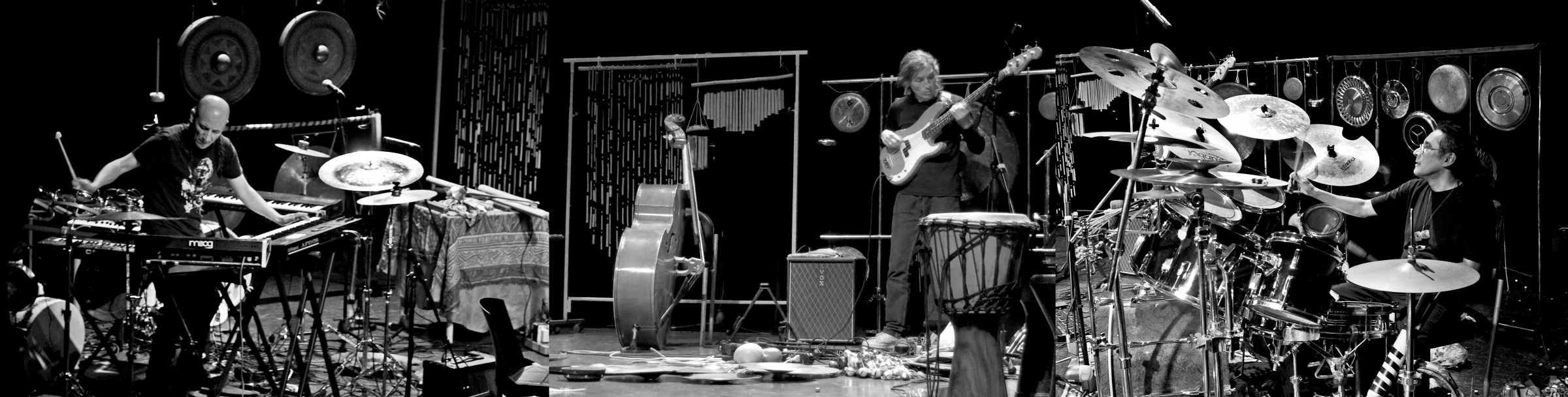 Agrupación Ciudadanos: Expresión pura, pura expresión 