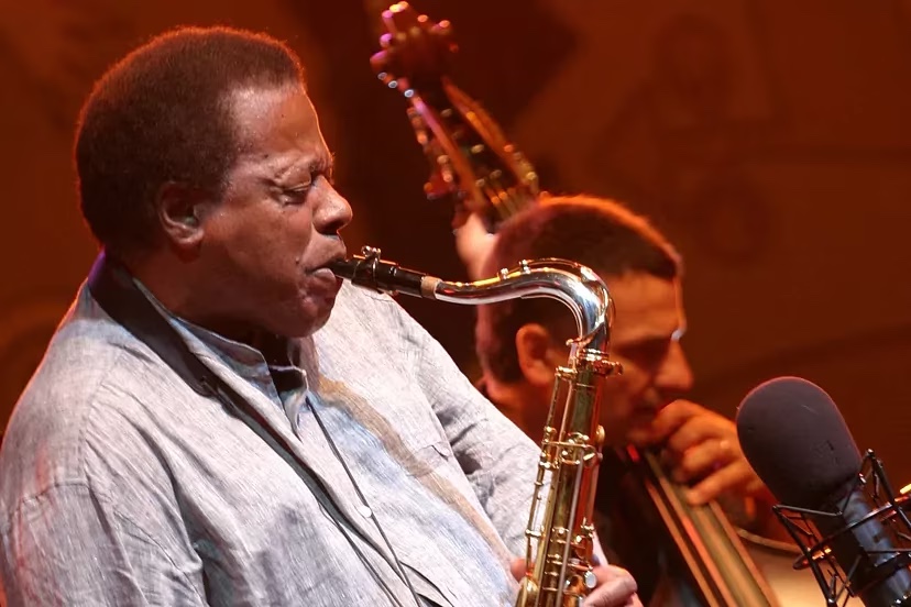 Recuento vanguardia 2023: sonidos, visitas y despedidas