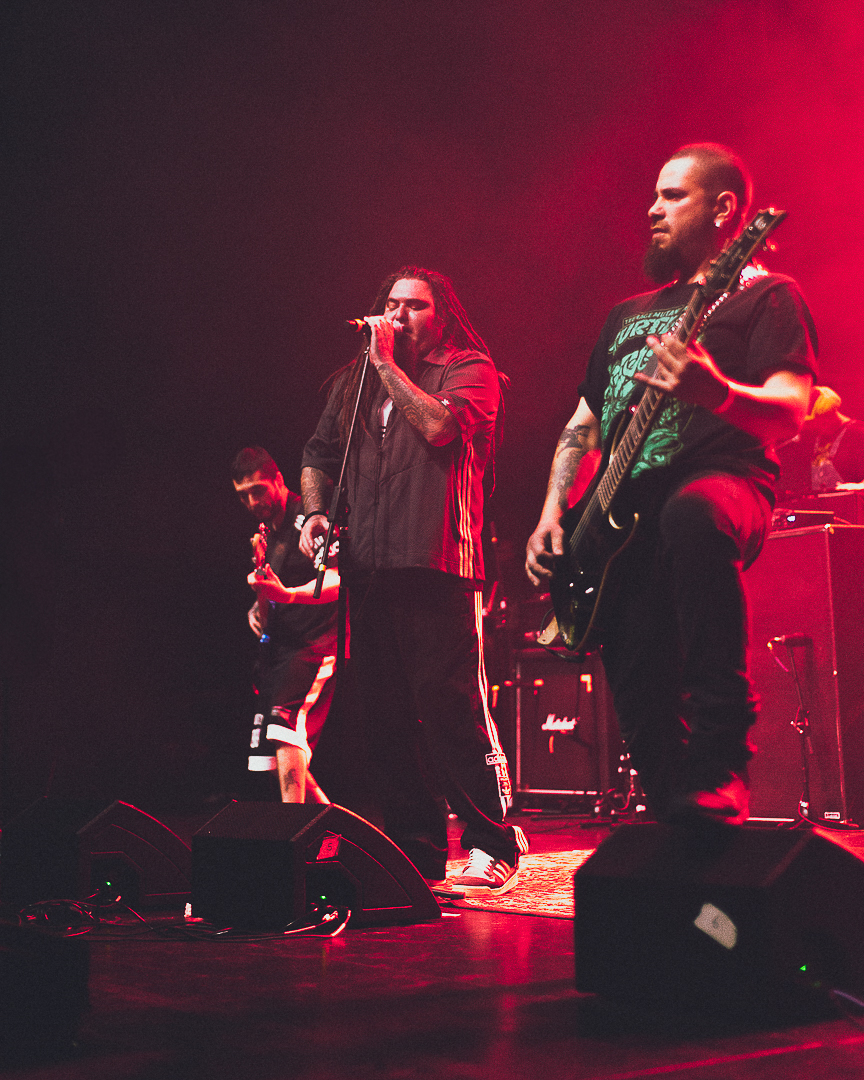 Viva Shile CTM Fest: Euforia, resistencia y locura