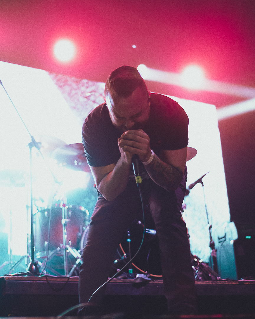 NOES Fest: la unión hace la fuerza