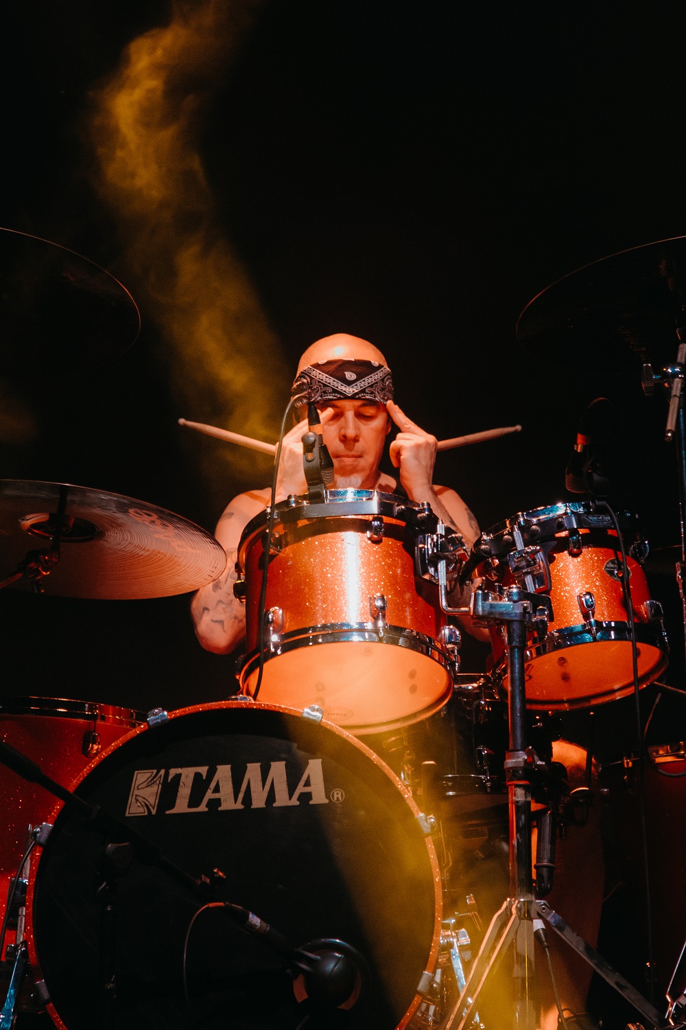 A.N.I.M.A.L.: Explosión de fuerza y sentimiento