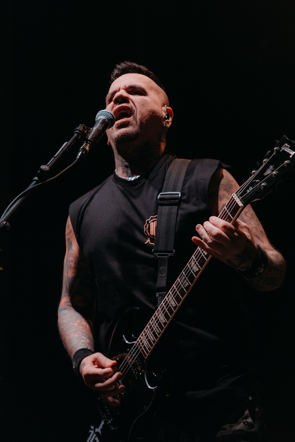 A.N.I.M.A.L.: Explosión de fuerza y sentimiento