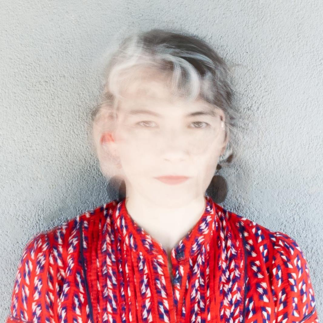 Amanda Irarrázabal: las ciudades, el caos, las máquinas, los pájaros, la cordillera