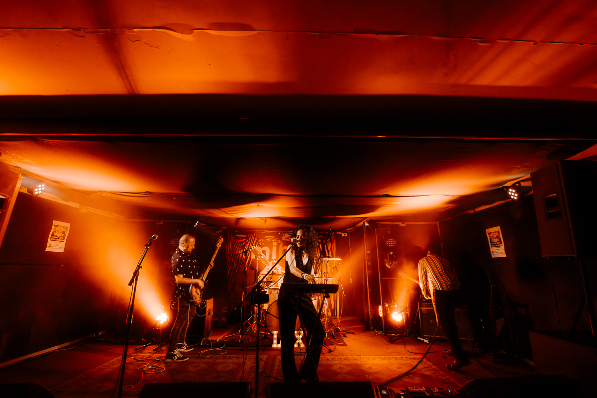 Los Tábanos Experience: Nadando contra la corriente