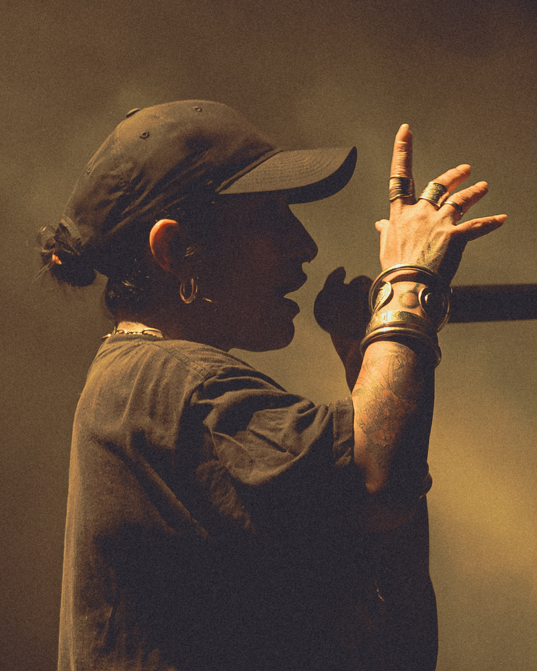 Ana Tijoux + La Brígida Orquesta: Pasado, presente y hermandad